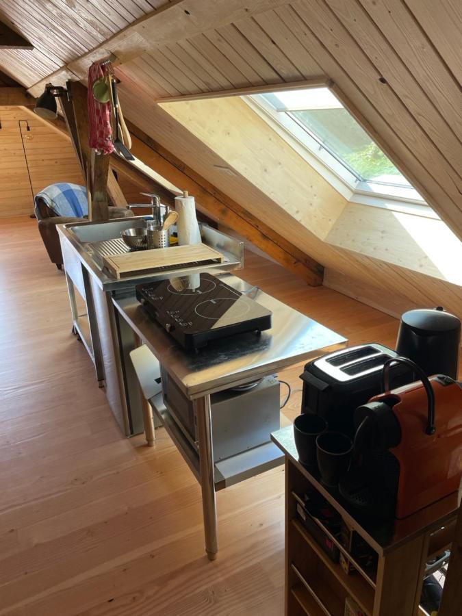 Mon Refuge En Vasgovie Lejlighed Meisenthal Eksteriør billede