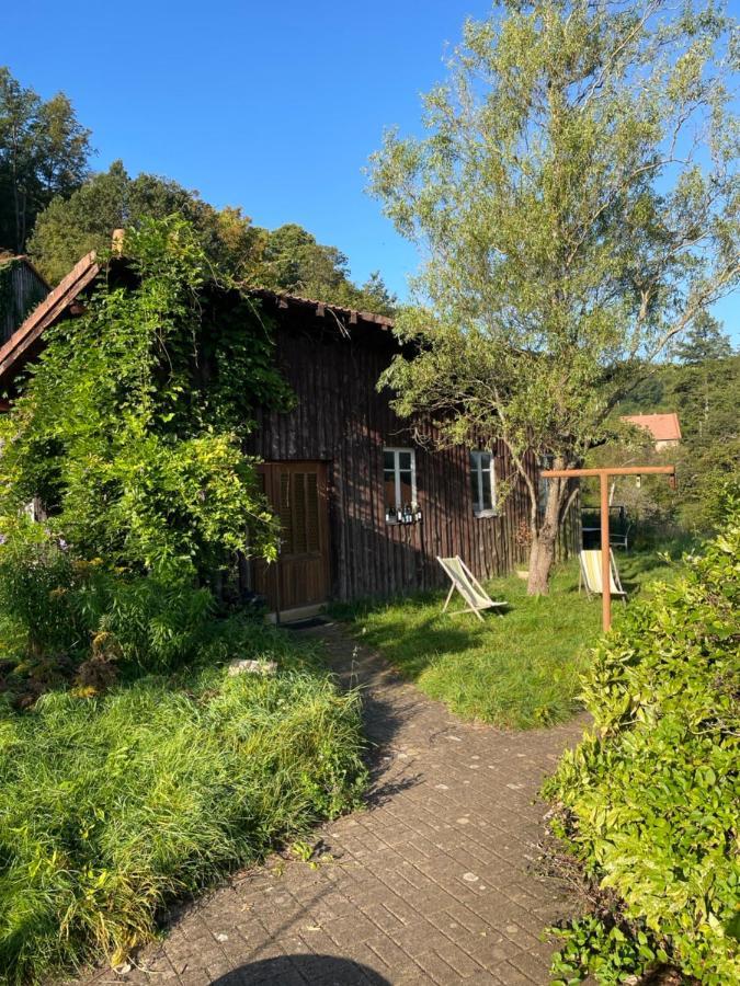 Mon Refuge En Vasgovie Lejlighed Meisenthal Eksteriør billede