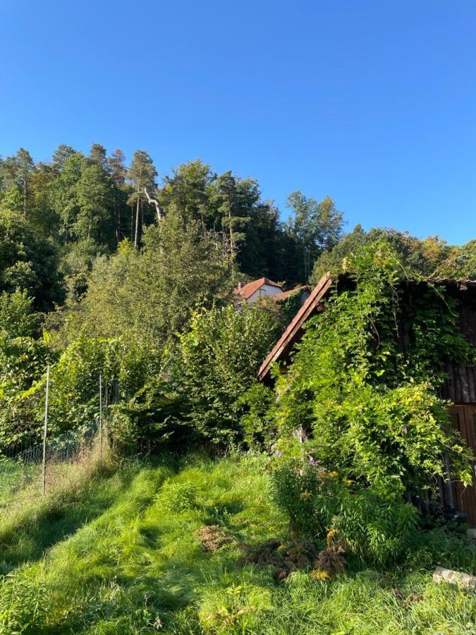 Mon Refuge En Vasgovie Lejlighed Meisenthal Eksteriør billede